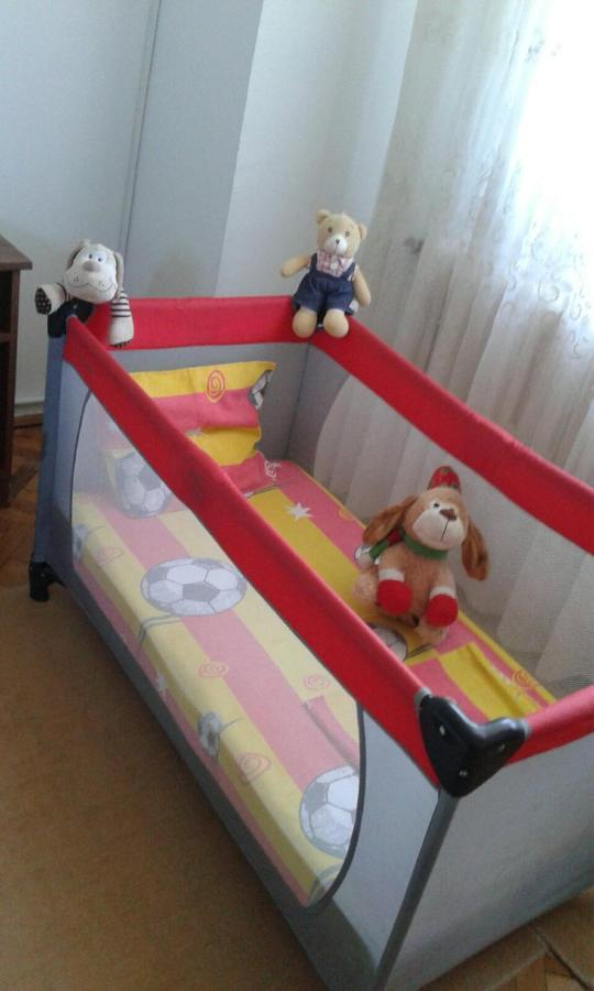 Apartman Andelina Vrnjacka Banja Vrnjačka Banja Exterior foto