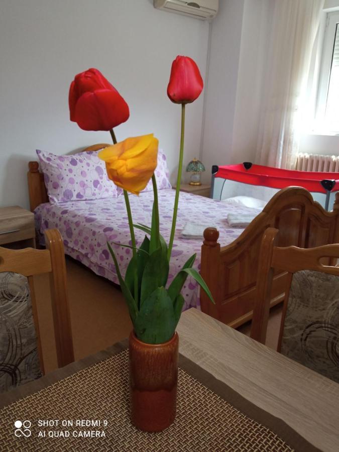 Apartman Andelina Vrnjacka Banja Vrnjačka Banja Exterior foto