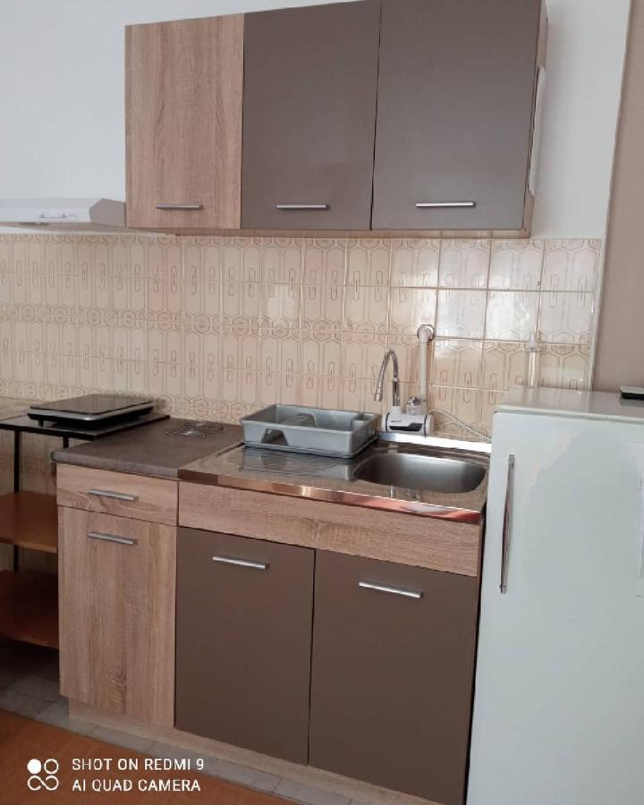 Apartman Andelina Vrnjacka Banja Vrnjačka Banja Exterior foto
