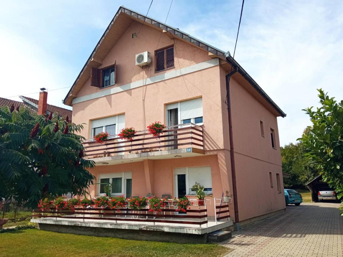 Apartman Andelina Vrnjacka Banja Vrnjačka Banja Exterior foto