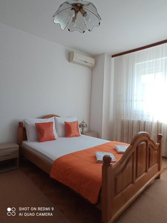Apartman Andelina Vrnjacka Banja Vrnjačka Banja Exterior foto