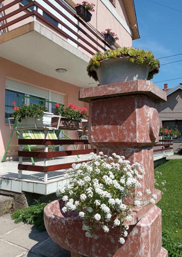 Apartman Andelina Vrnjacka Banja Vrnjačka Banja Exterior foto
