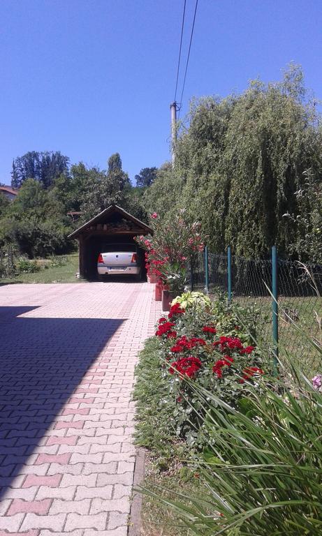 Apartman Andelina Vrnjacka Banja Vrnjačka Banja Exterior foto