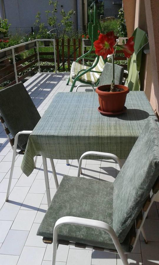 Apartman Andelina Vrnjacka Banja Vrnjačka Banja Exterior foto