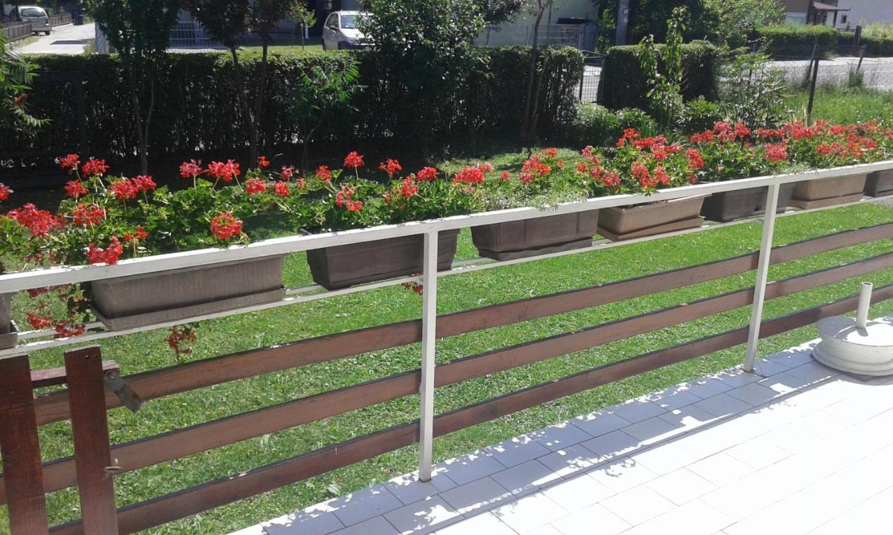 Apartman Andelina Vrnjacka Banja Vrnjačka Banja Exterior foto