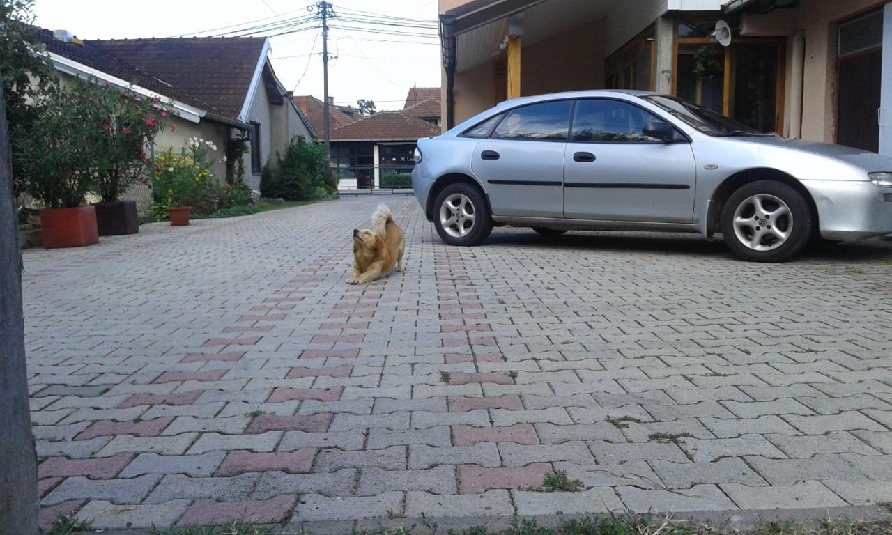 Apartman Andelina Vrnjacka Banja Vrnjačka Banja Exterior foto